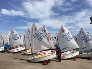 optimist1